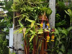 -Dash Teak House