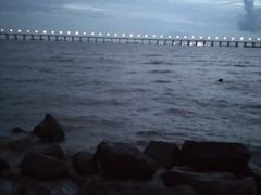 -宝安西湾红树林湿地公园