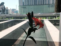 -潮上潮(南中环店)