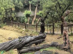 -草庵摩尼教遗址公园