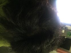 红人馆造型(紫竹桥店)-红人馆造型世爵国际