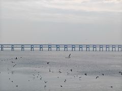 -黑石礁公园