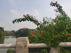 -海珠湖公园