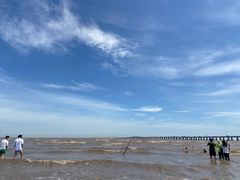 -南汇嘴观海公园