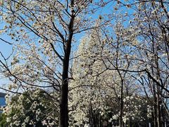 -花亭湖风景名胜区