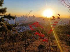 -浮山香苑