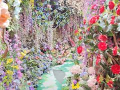 -正佳雨林生态植物园
