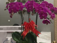 -美年大健康体检中心(牡丹园分院)