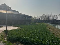 -乌村