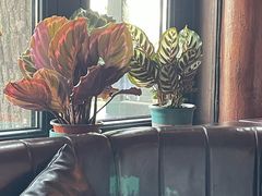 -悦界酒吧(后海店)