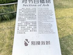 -苏州河梦清园环保主题公园
