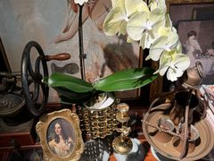 -The Flowers Coffee(南山店)