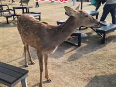 -盈香心动乐园