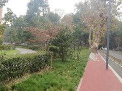 -四川大学(望江校区)