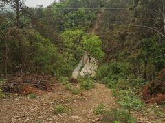 -青龙山国家森林公园