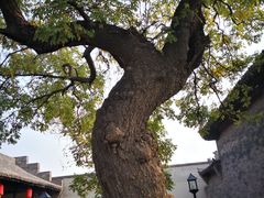 -平遥县衙