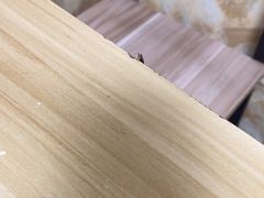 -光明刘冰乳鸽店(光明法政北路店)