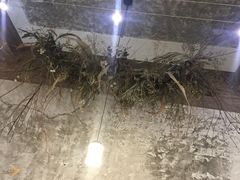 -侘寂甜品(自取店)