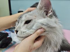 -嘉馨宠物医院·CT影像转诊·心脏科·犬猫全科诊疗中心(下沙大学城院区)