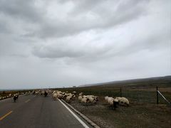 -青海湖国家重点风景名胜区