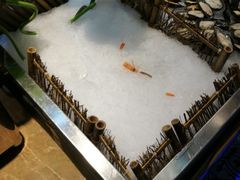 -吉布鲁牛排海鲜自助(成都大悦城店)