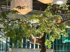 -绿茶餐厅(广州天河城店)