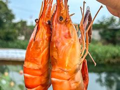 -徐岛主·特色农家乐(阳澄湖莲花岛店)