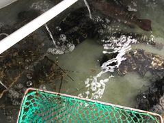 -东山码头