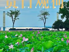 -滆湖低碳生态公园