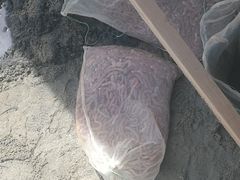 -北海金海湾红树林生态旅游区