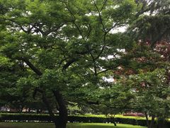 -大连人民广场