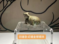 -宁夏博物馆