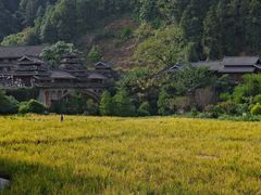 -程阳八寨景区