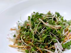 爽口拌豆苗-火福·天湖阁大闸蟹博物馆主题餐厅(浅水湾店)