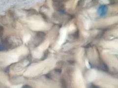 -晓伟海鲜家常菜