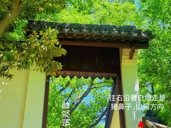 -上海佘山国家森林公园天马山园