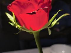 -味界·精致赣菜(招商花园城店)