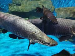 -石林冰雪海洋世界