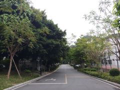 -佛山市第一中学