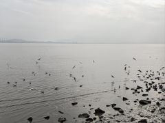 -深圳湾公园(南山区)