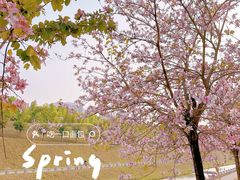 -马峦山郊野公园