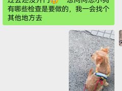 -佩兹宠物医院肿瘤专科·眼科·牙科(黄浦店)