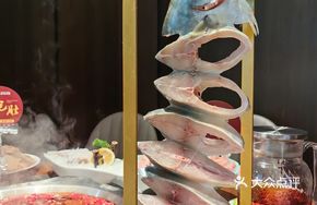 Premium Spanish Mackerel