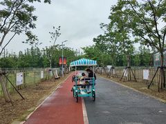 -上海长兴岛郊野公园