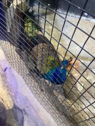 -酷嗒动物文化乐园(cutezoo西溪乐天城店)