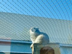-青藏高原野生动物园
