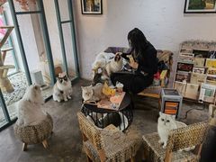 大堂-喵屿·大理花园猫咖