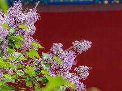 -明故宫遗址公园