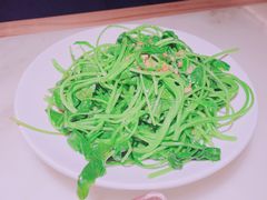 -佬肥猫(国华广场店)