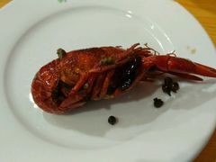 -大孩龙虾(体育场旗舰店)
